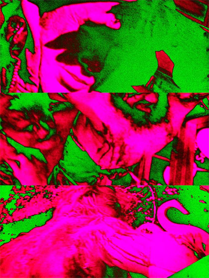 Katharina-Sieverding