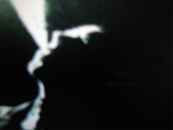 Barbara Ess at Thierry Goldberg Projects, New York