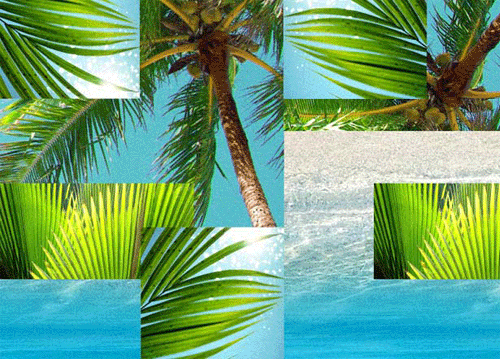 AUTOCENTER ACSA Berlin 2014 