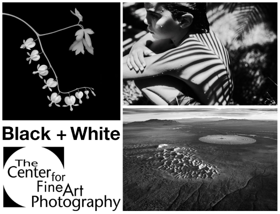 Image Credits: Vicki Reed, Antonio Ysursa, Jamey Stillings