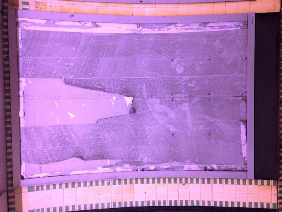 Ice Tuxedo ‘random orange’ Open Call