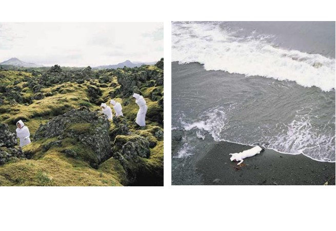 Where Do We Go From Here, series of 11 color photo