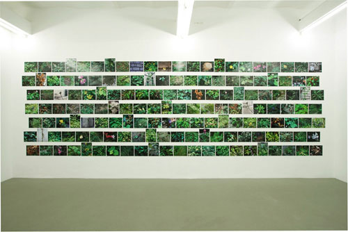 Hans Haacke, 224 Nahaufnahmen der Flora und Fauna von 2001-2008<br class=