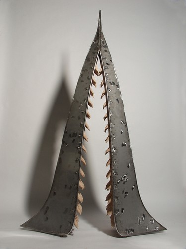 Pioneer, 2010<br class=