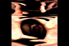 Vertical Love Chronologies