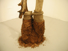 Rump 2003 plaster, coir, wood, twine, burlap