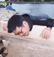 Village Green (detail)