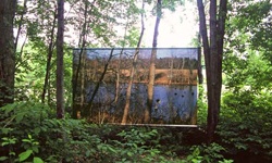 March Swamp (in summer) 2006