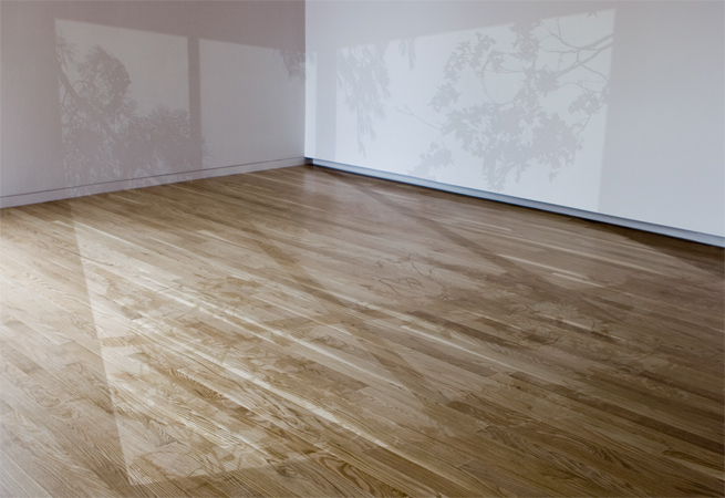 Extended Afternoon, Phase 3 at the Aldrich Museum