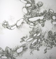 Piscean Nostomania (Detail)