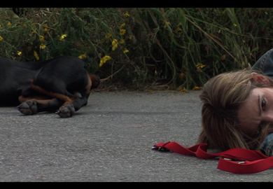 In Times of Crisis - Video Installation 2008