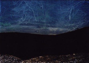 Untitled, from Constructed Landscapes, 2009