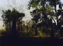 Untitled, from Constructed Landscapes, 2012