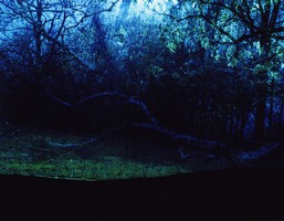 Untitled, from Constructed Landscapes, 2011